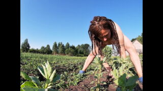 Farmer’s Wife Masturbates in the Field